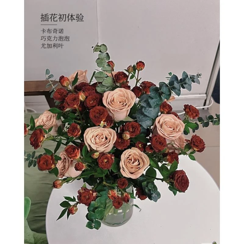（小朱推荐）卡布奇诺 巧克力 配草 【同地址两单京东或顺丰】