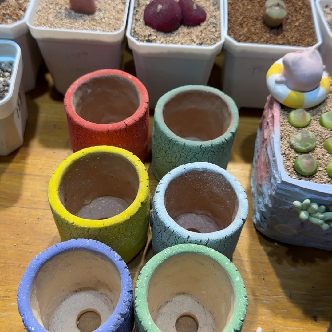 红陶春**道当然当然当然当然当然