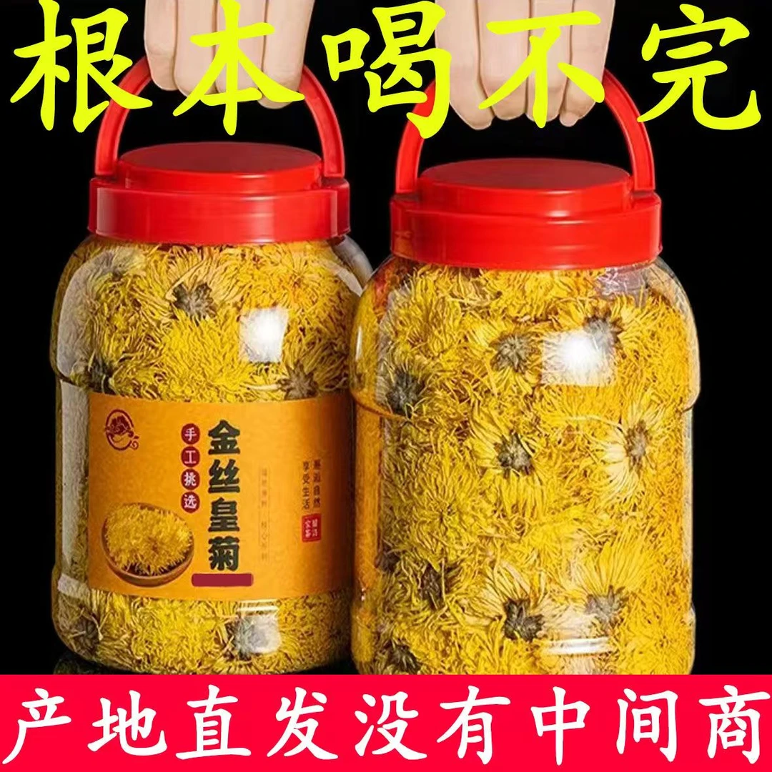 新货金丝黄菊一朵一杯高山黄菊花大菊花泡茶喝花草茶源头工厂批发
