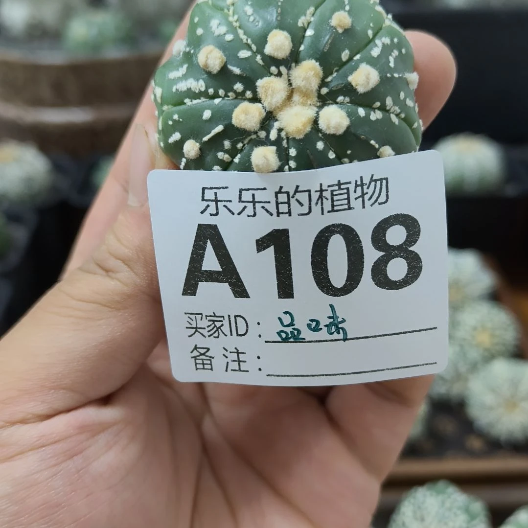 品***味连线兜兜哈哈哈哈