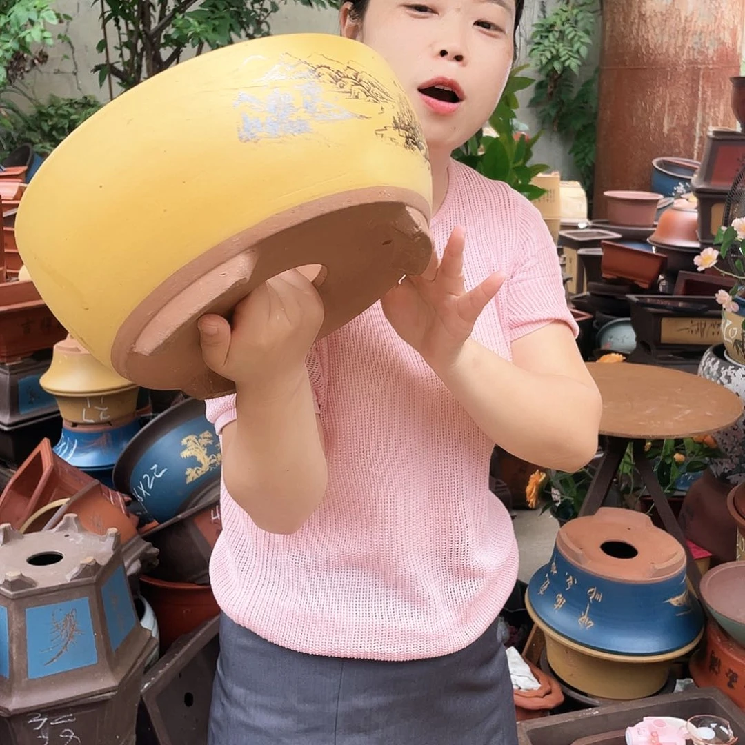 黄色江山如画中号花盆紫砂花盆紫砂