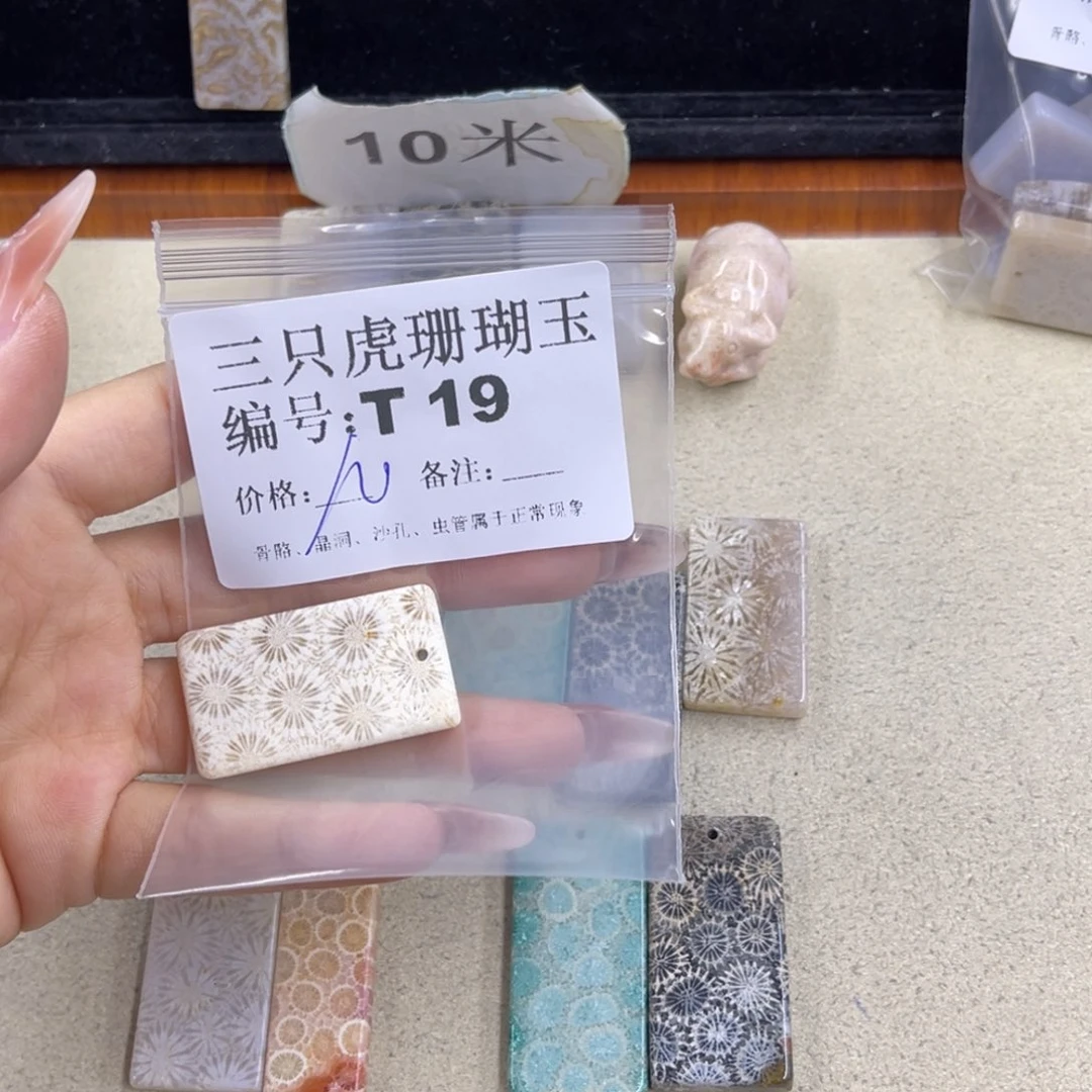 鸢***澜硅化珊瑚（珊瑚玉）h银S925镀金镶嵌