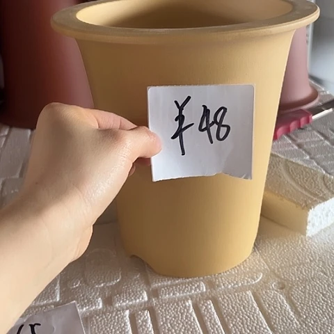 紫砂3038382858885885