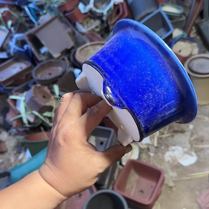 一天只喝一点奶茶一