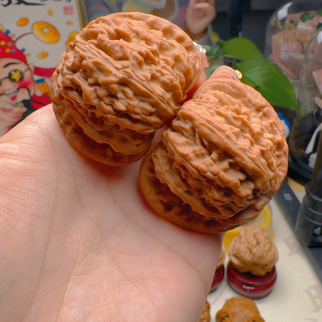 核桃把件45尺寸白狮子