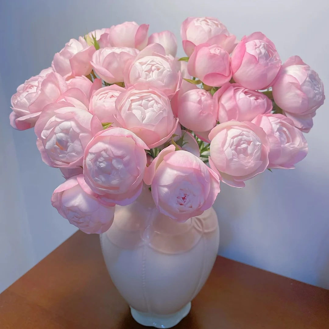 【藏花的房间】超高品质玫瑰 超稀有玫瑰 草莓杏仁饼插花顺丰空运
