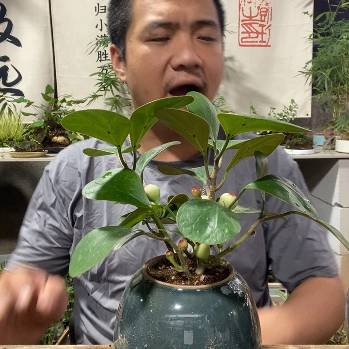 饭***小无花朵退款拉黑拉黑149