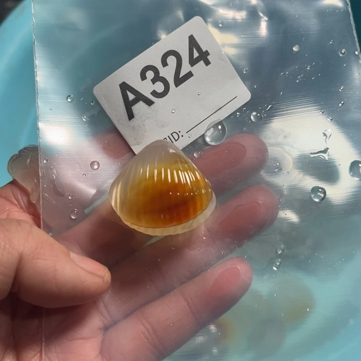 玛瑙/玉髓珠宝奇石未镶嵌