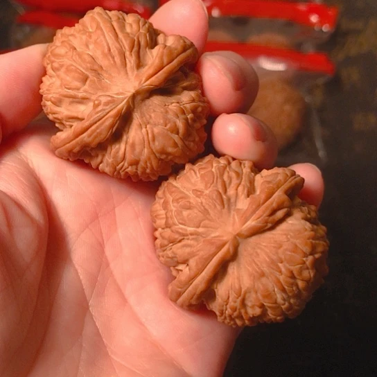 文玩核桃把件用****0白狮子40