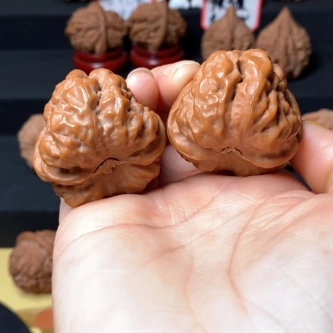 文玩核桃蛤膜头尺40