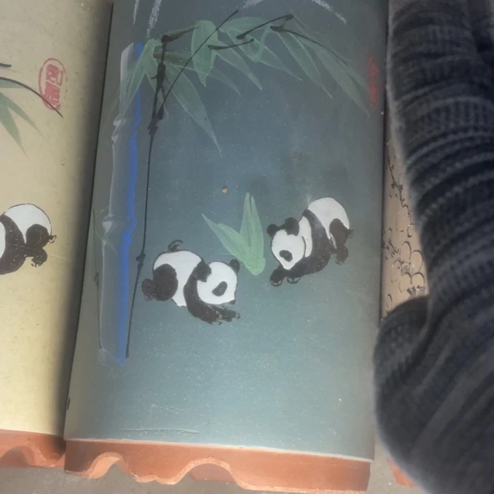 众所周知早早早早早早