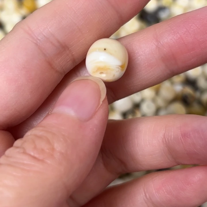 蜜蜡未镶嵌裸石11mm一个