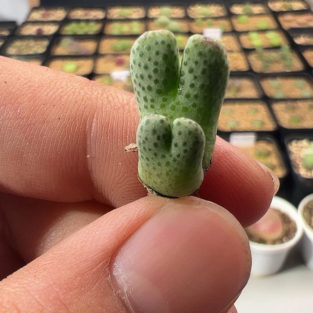 000019 一物一拍……