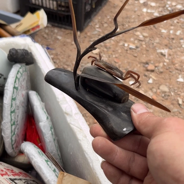 。***。杂色豆（科檀/科特迪瓦檀木）