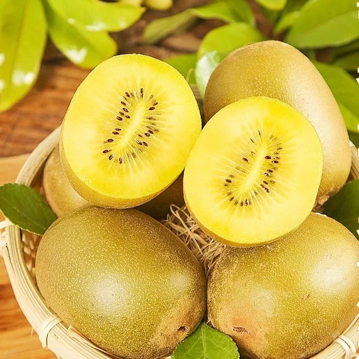 新鲜黄心猕猴桃现摘当季奇异果南阳发货