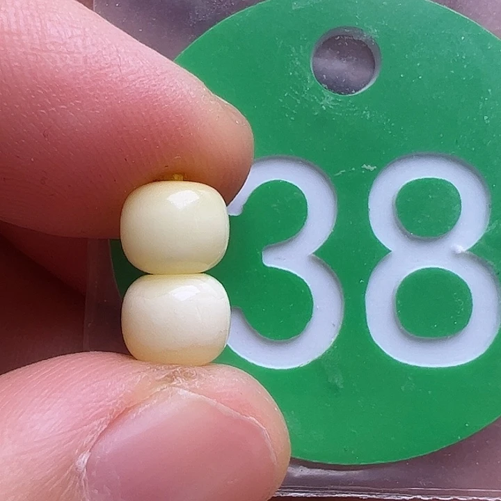 未镶嵌蜜蜡裸石6.5m m