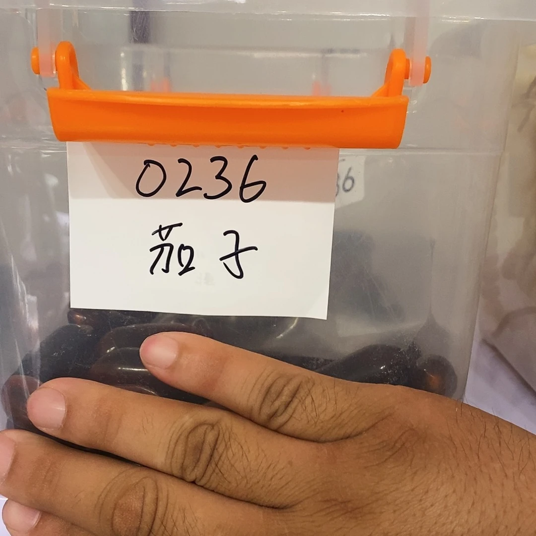 【闪购商品】黑檀木0236
