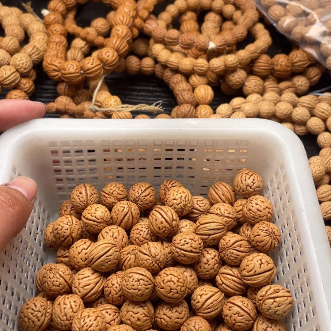 【闪购商品】魏散子批发20米