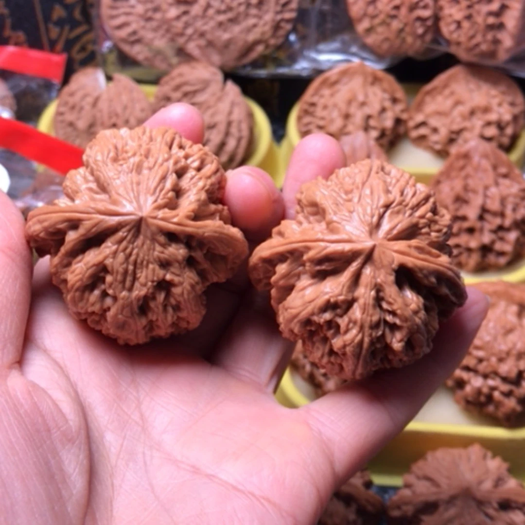 【闪购商品】甭****儿粗筋尺寸47