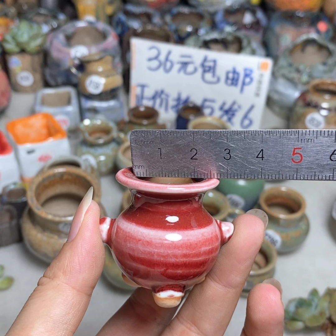 拍5送一个小礼物