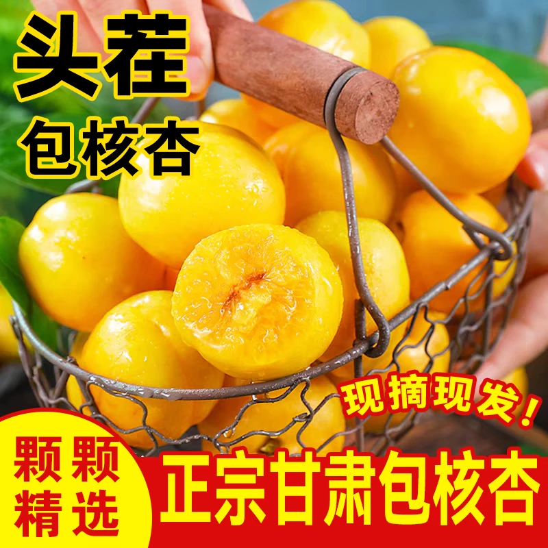 【新鲜杏子】李广杏敦煌特产水果整箱陇西甘肃甘肃杏子包核杏