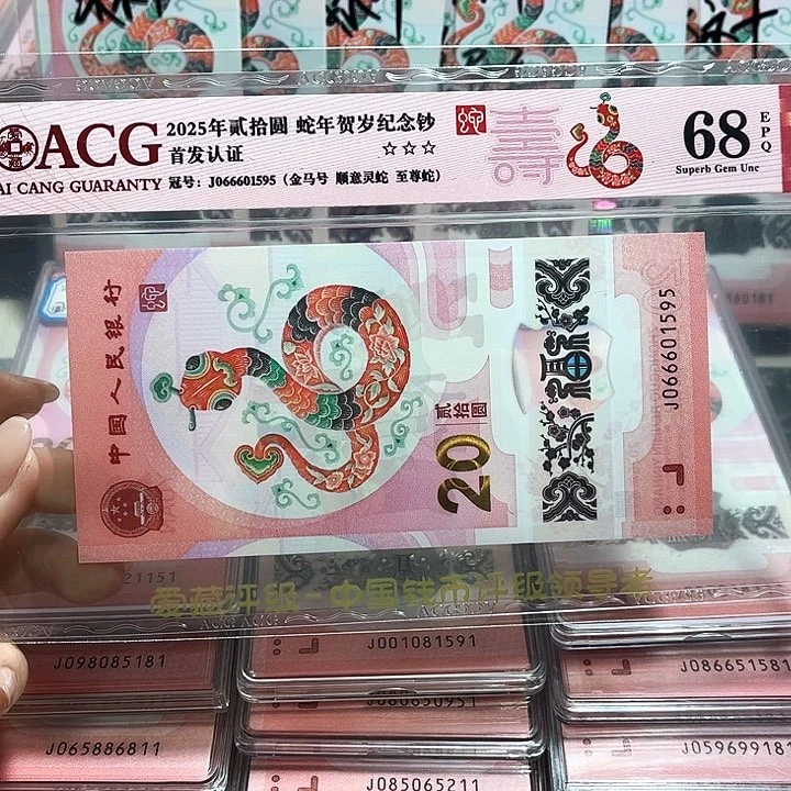 塑料066601595。。。。腾飞灵蛇 金马号 95