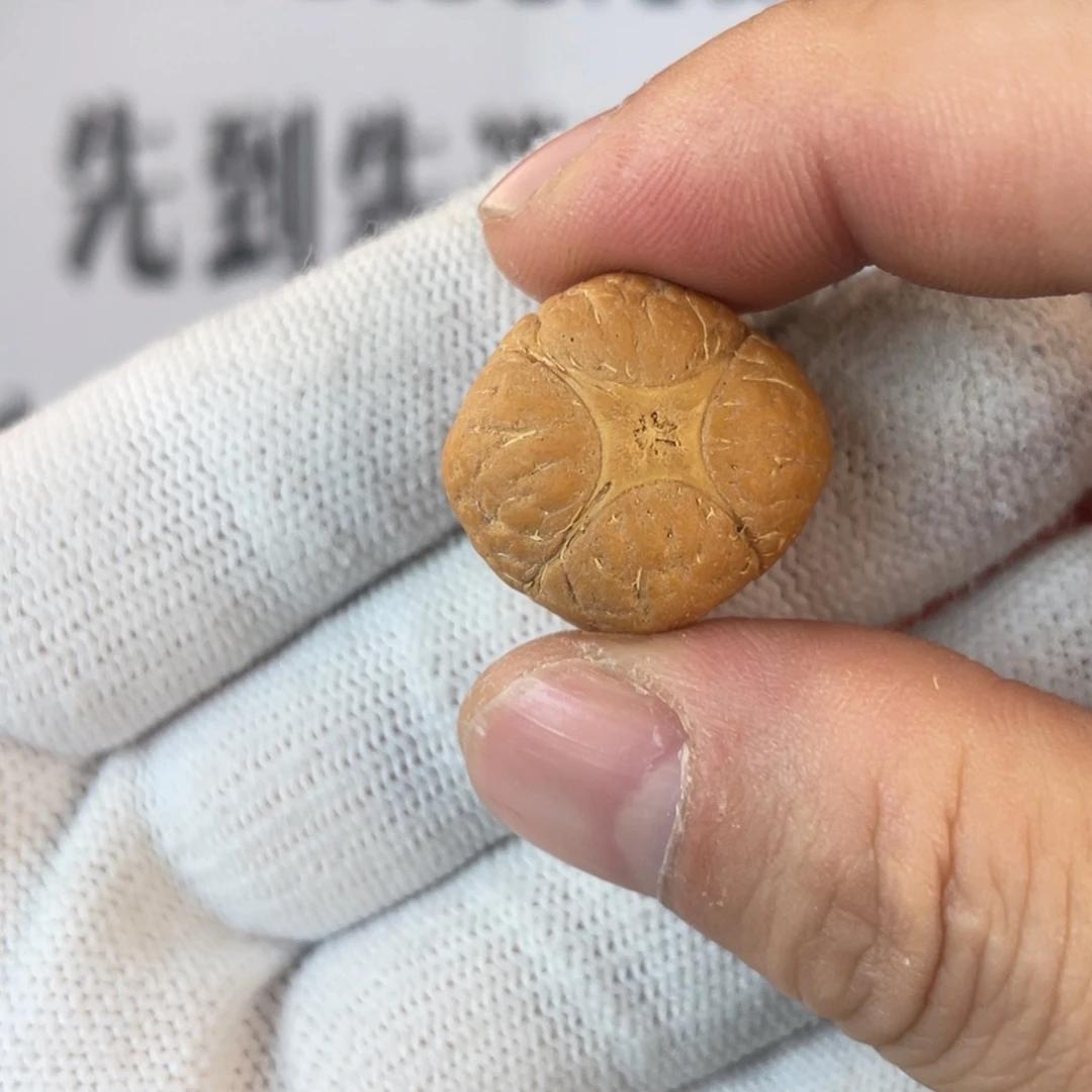 凤眼菩提吊坠凤眼菩提麒麟眼