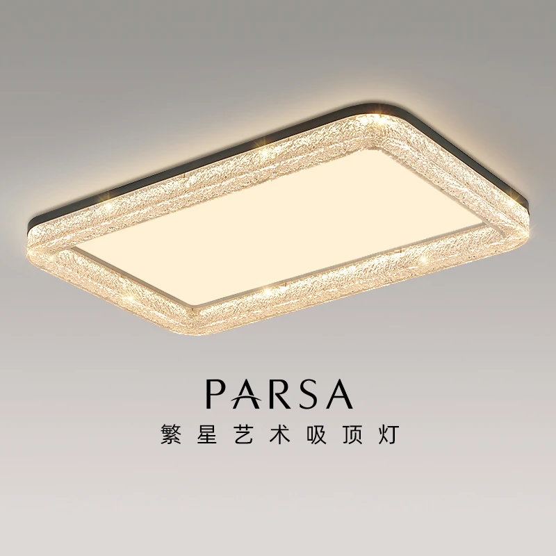 帕莎 客厅吸顶灯 2026新款LED智能轻奢风高级感环氧树脂大厅灯具