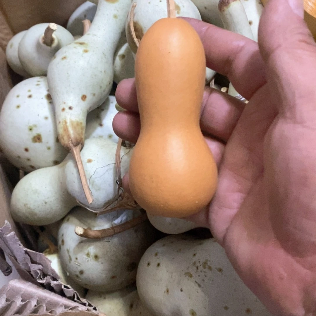 文玩葫芦天然葫芦