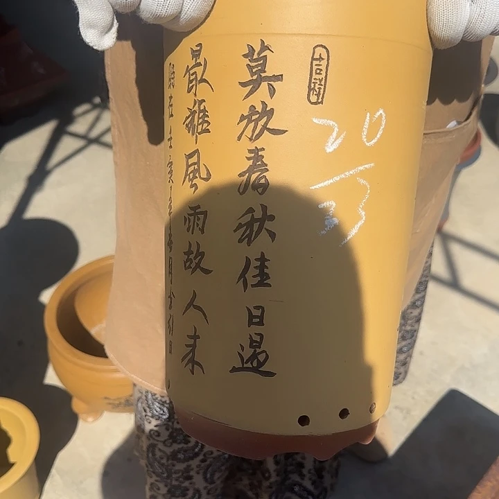 这篇小说中关于女人们