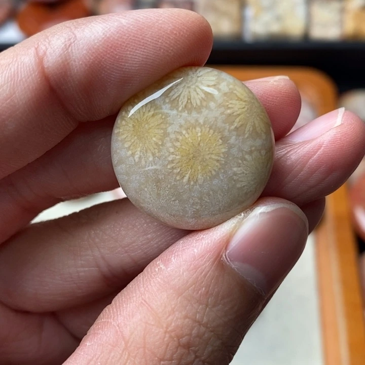 硅化玉颈饰足金镶嵌用****4