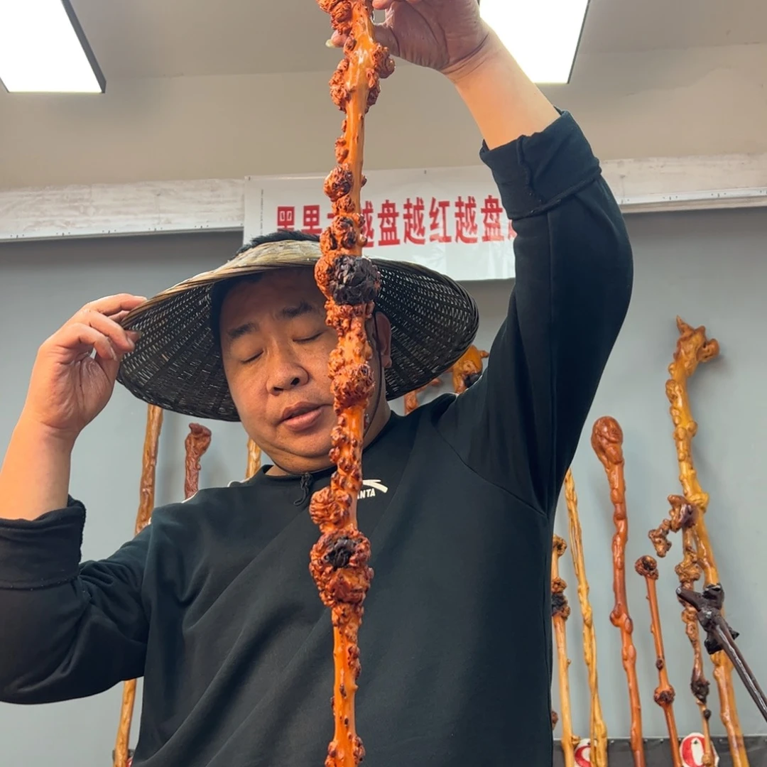 黑果木其他雪**草黑果木933