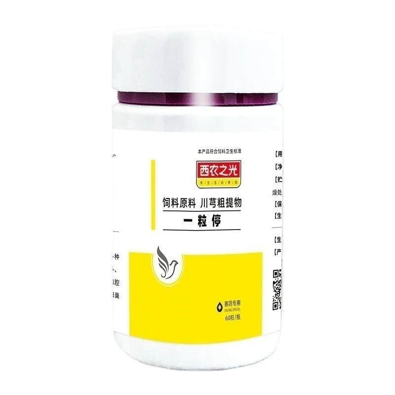 赛鸽专用 一粒停