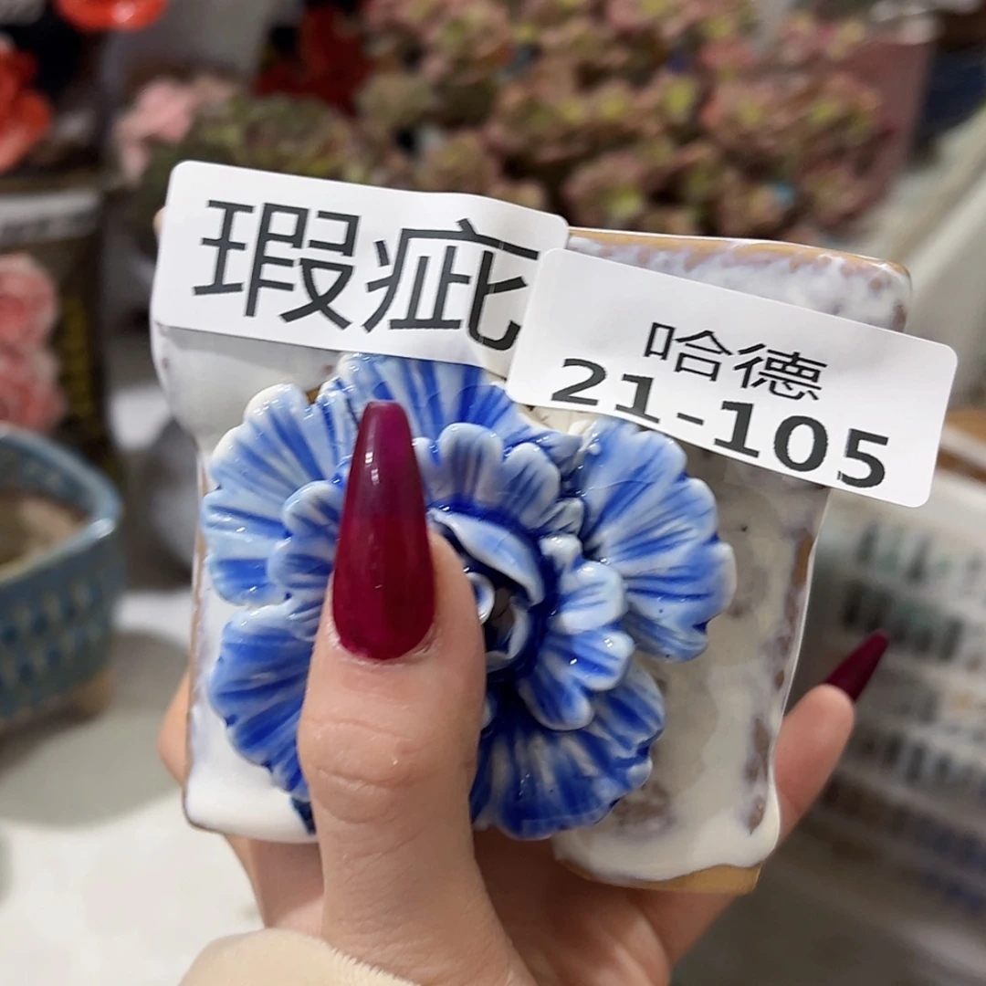 【闪购商品】红陶瑕疵21105