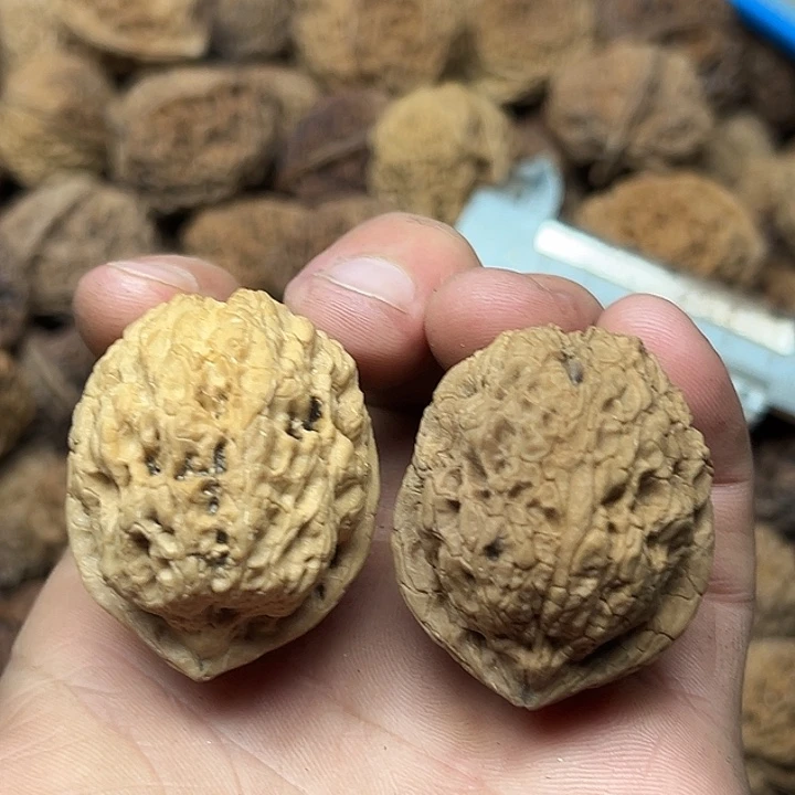 文玩核桃把件21号图腾金蟾40尺