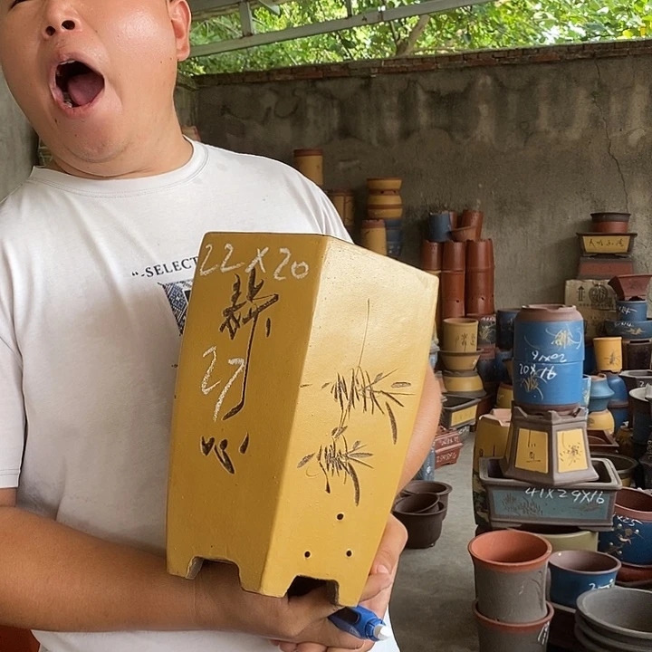 紫砂花盆盆栽花卉苗木种植