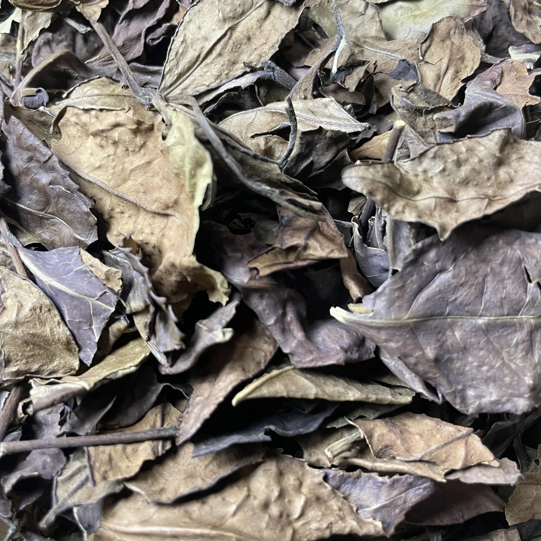 冬片2012，初级农产品