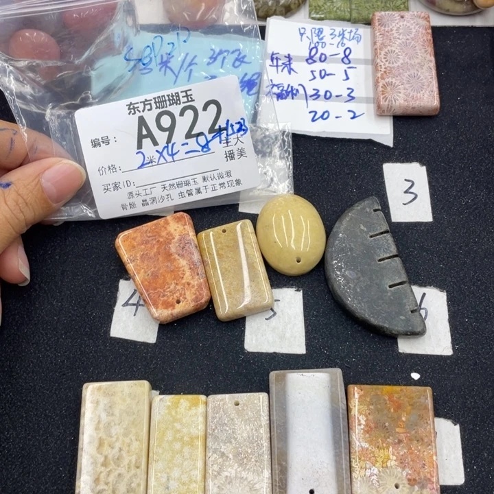 硅化珊瑚（珊瑚玉）颈饰合金S***n