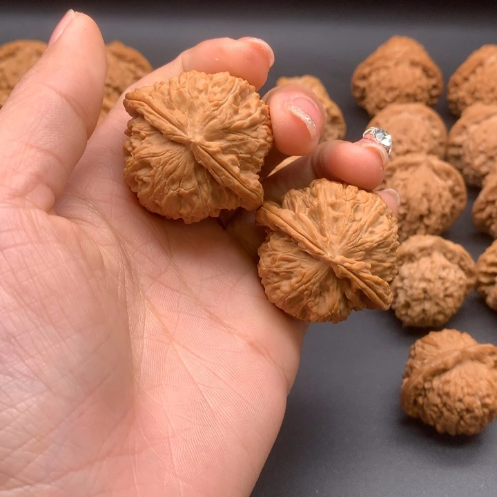 文玩核桃把件赵*伟三角白狮子头