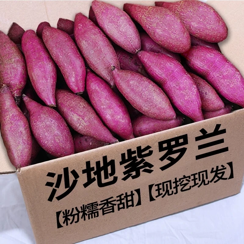 【抢购中】新鲜紫罗兰紫薯1-9斤现挖沙地紫心蜜薯红薯地瓜烟薯