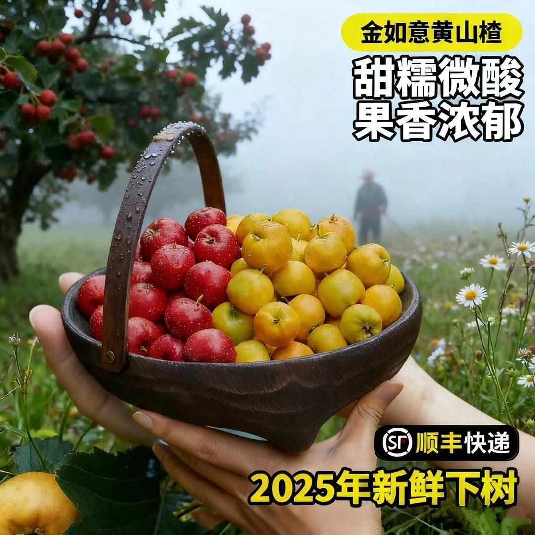 甜山楂新鲜鲜果高端品种甜红子金如意酸甜爽口黄山楂产地直发
