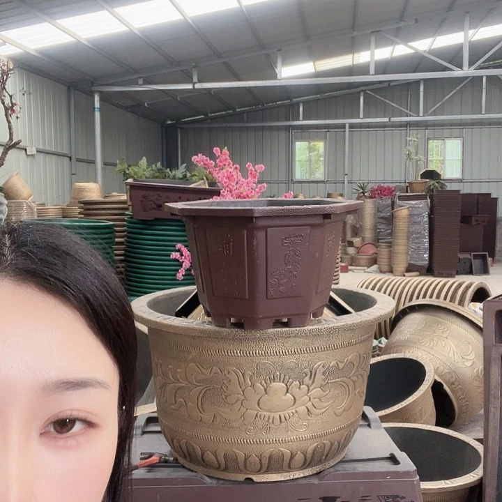 无*人八角50和圆50花盆各5个