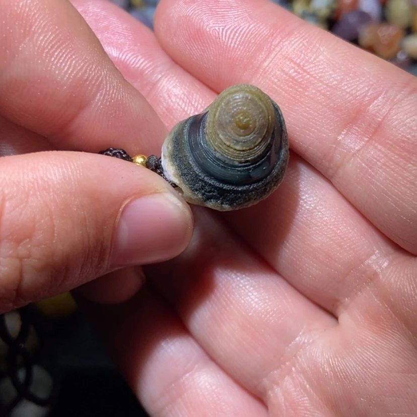 【闪购商品】玛瑙/玉髓项圈合金