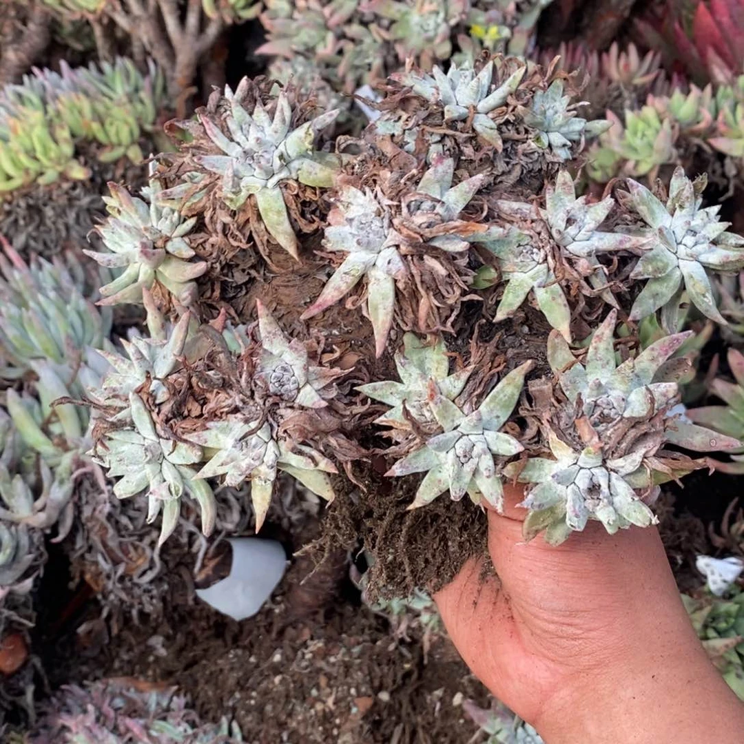 2018哈哈哈哈哈哈哈哈