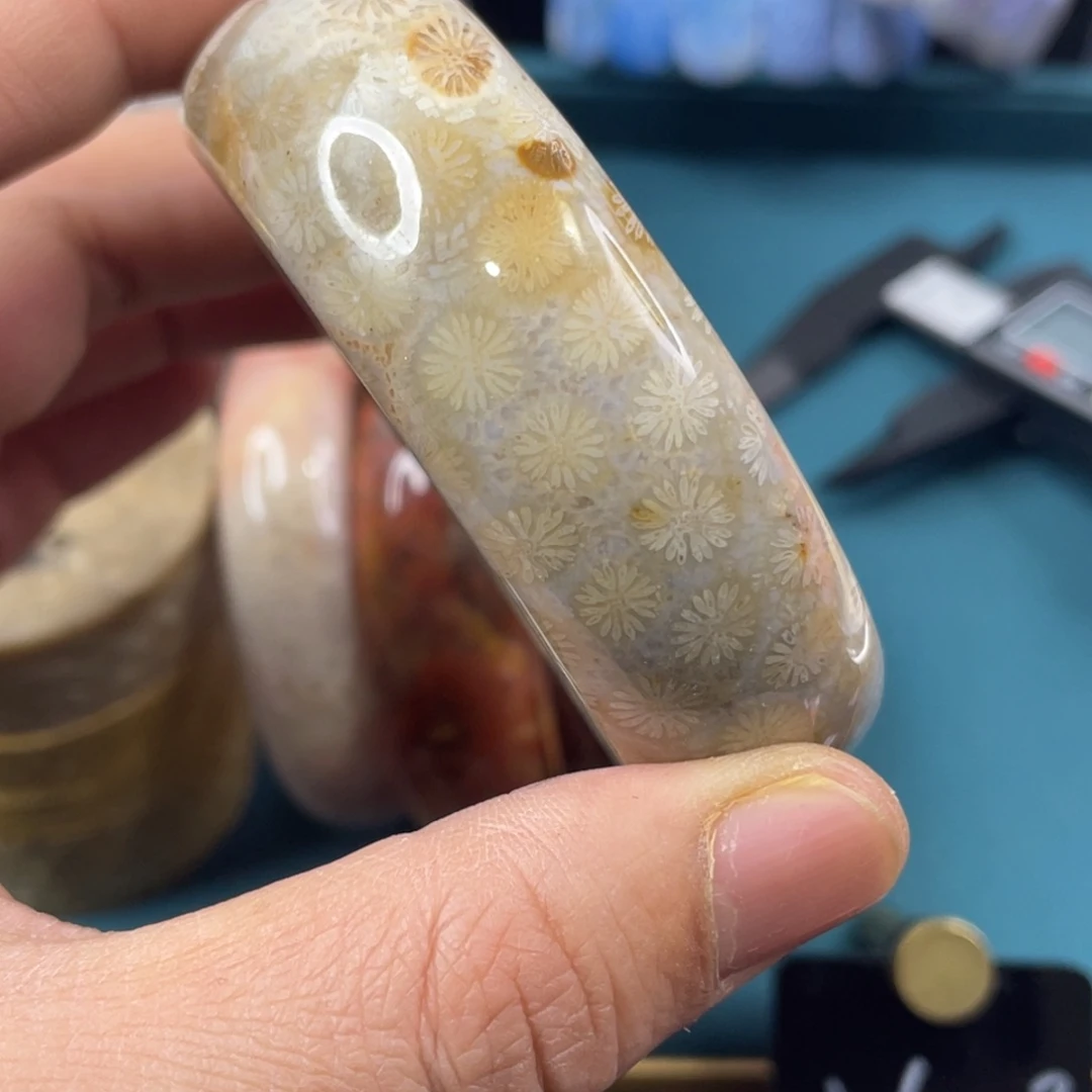 未镶嵌手镯硅化玉