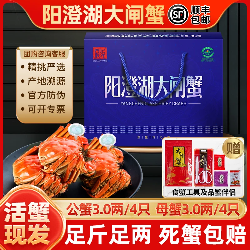 【活蟹】四记联洋阳澄湖大闸蟹公3.0两母3.0两4对8只金标螃蟹塘养