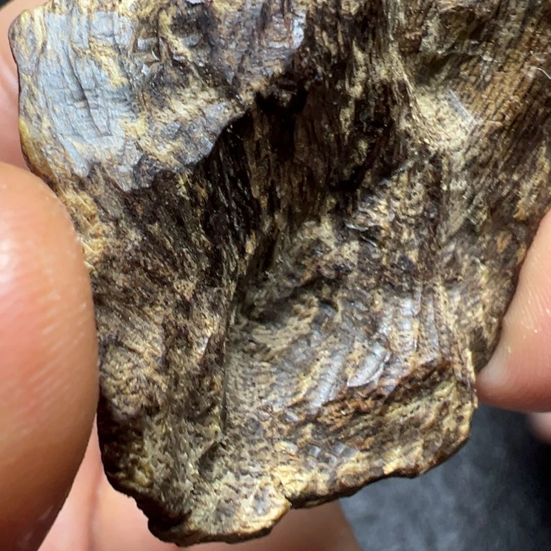 唯***】沉香碎屑沉香海南霸王岭沉水包头5.15g