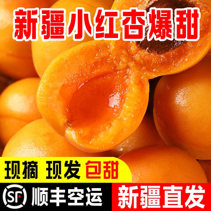 正宗新疆小红杏新鲜水果阿克苏四团白杏子甜顺丰空运伊犁轮台库车