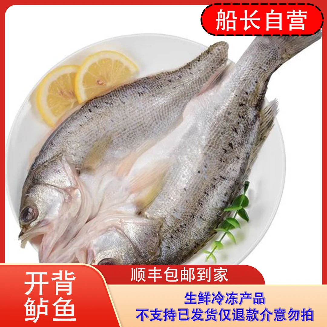 【船长生鲜】开背处理海鲈鱼鲜嫩美味蒜瓣肉刺少肉多500克左右/条