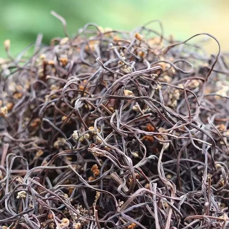 大山里的农家 干蕨菜